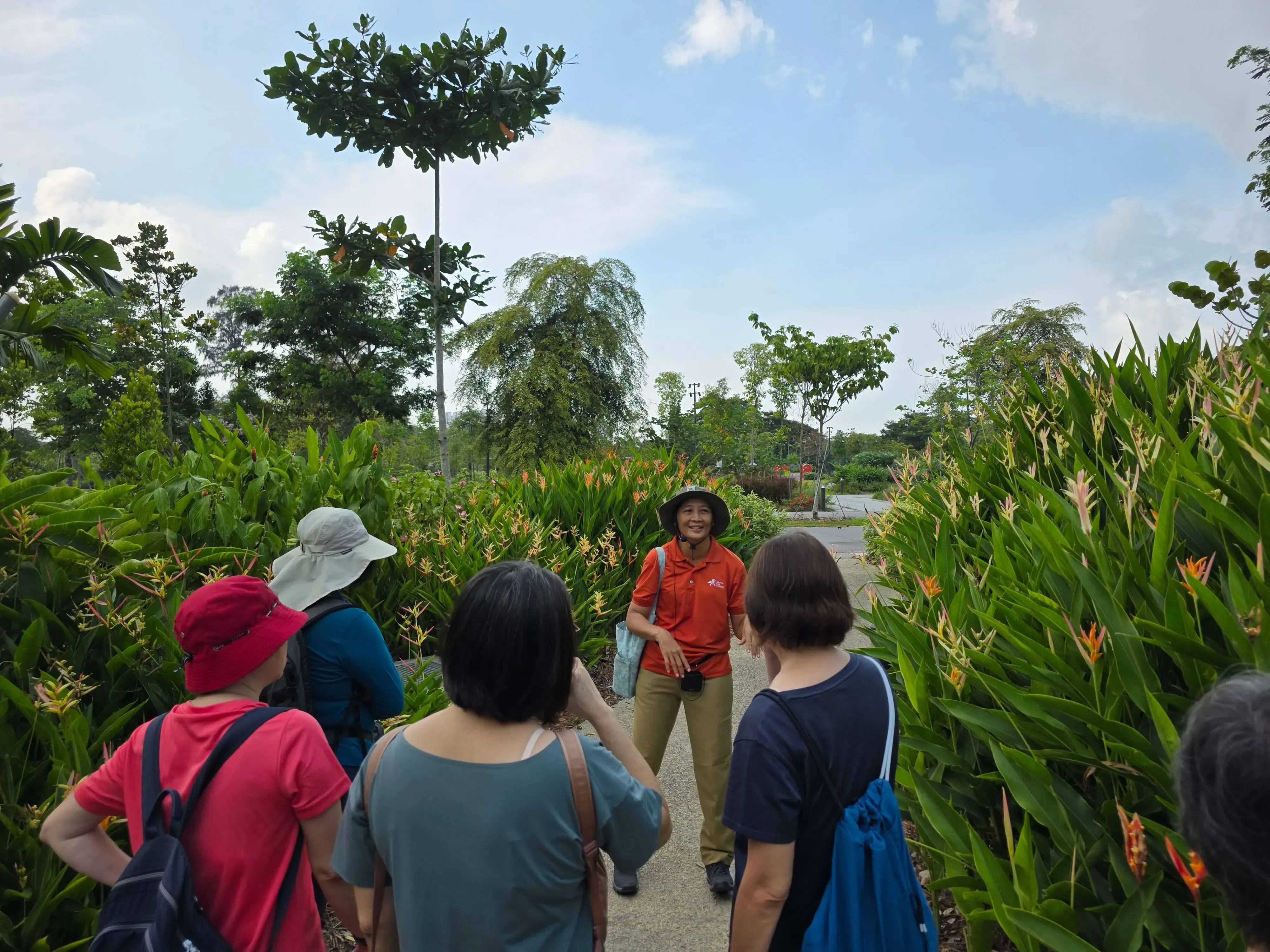 Guided Tour